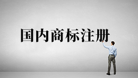 國內(nèi)商標(biāo)注冊(cè)